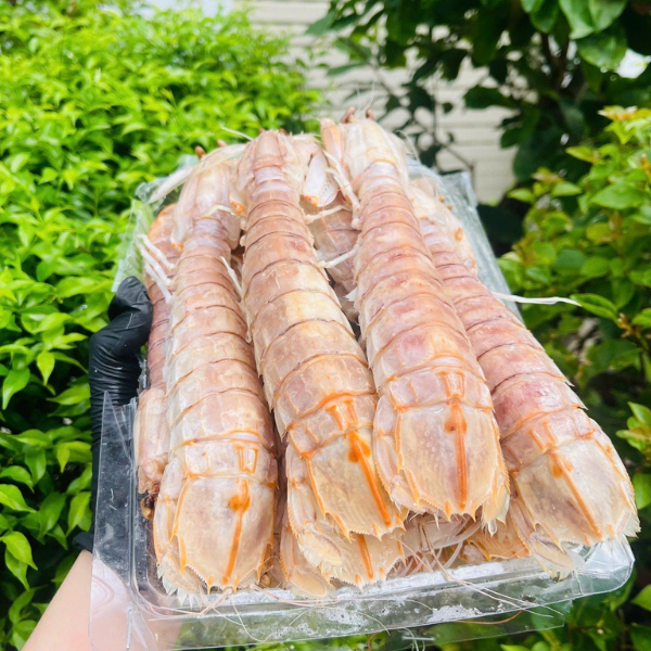 tôm tít giá sỉ