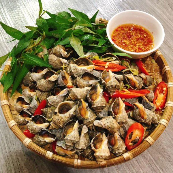 Ốc sư tử giá sỉ 