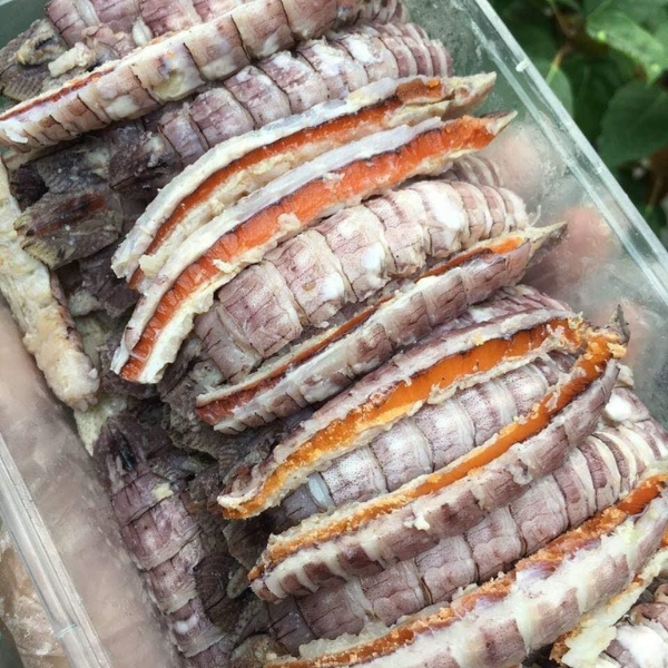 Tôm tít trứng giá sỉ