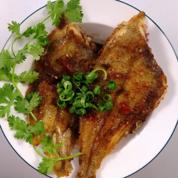 Cá bơn giá sỉ