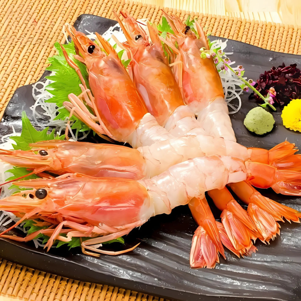 Tôm đỏ giá sỉ 