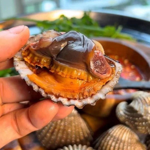 sò huyết cồ chất lượng