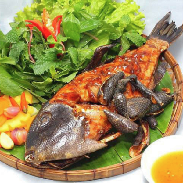 Cá bò giáp giá sỉ