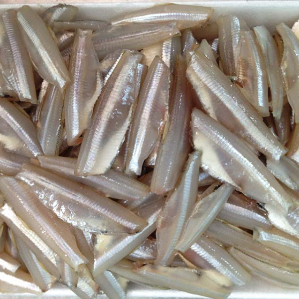 Cá mai phi lê giá sỉ 