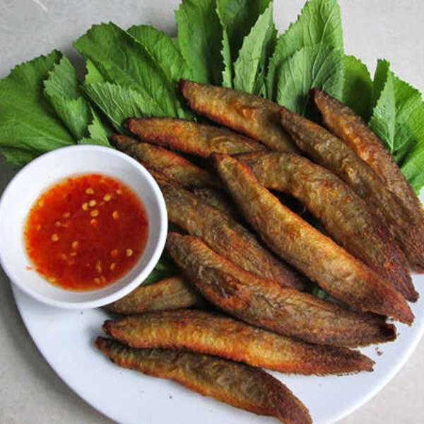 Cá chạch giá sỉ