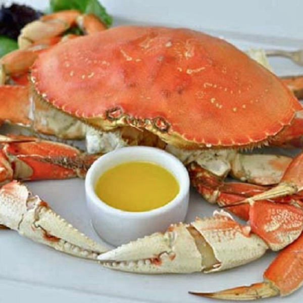 Cua dungeness giá sỉ 