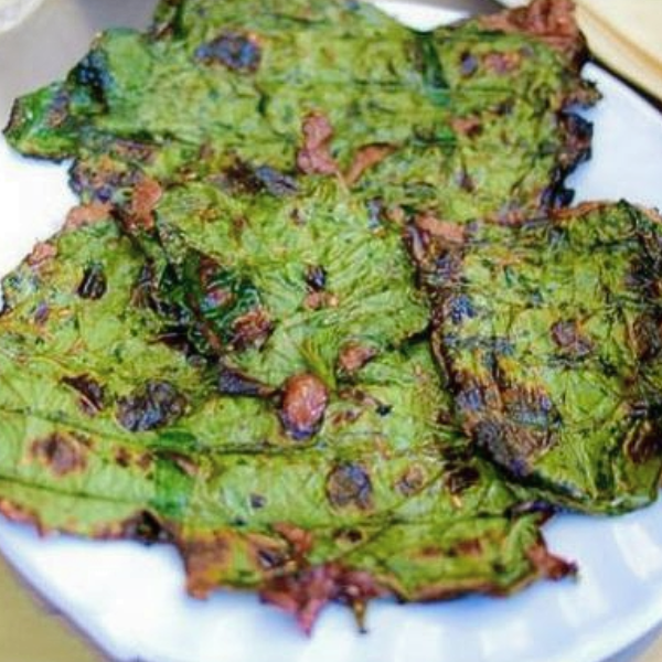 Ba ba gai giá sỉ