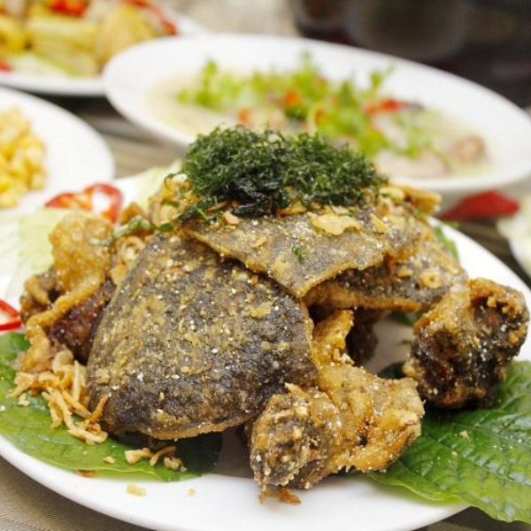 Ba ba gai giá sỉ