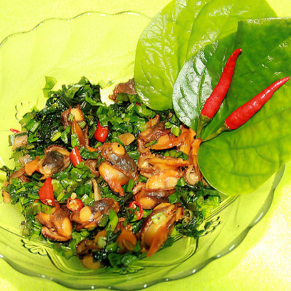 Sò lông nhung giá sỉ